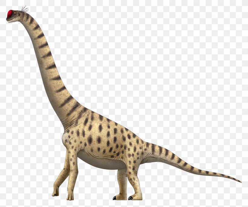 Lapparentosaurus Giraffatitan Chuxiongosaurus Brachiosaurus Apatosaurus, PNG, 3013x2520px, Lapparentosaurus, Animal, Animal Figure, Apatosaurus, Brachiosaurus Download Free