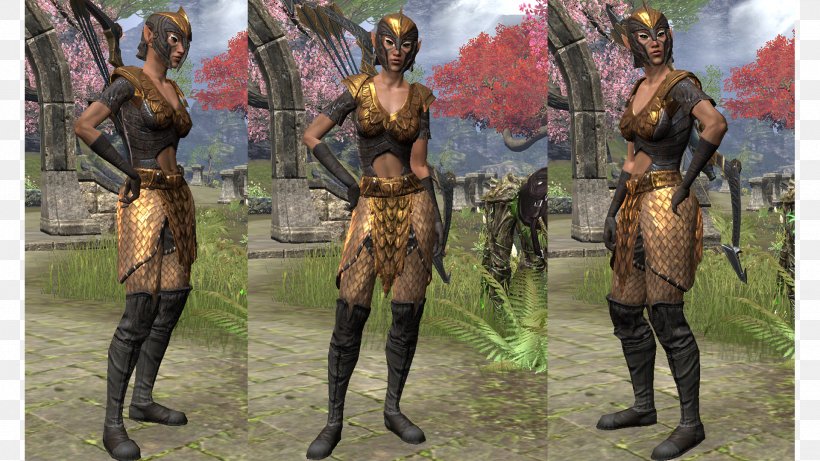 The Elder Scrolls Online Armour Combo Combination, PNG, 1920x1080px, Elder Scrolls Online, Armour, Combination, Combo, Elder Scrolls Download Free