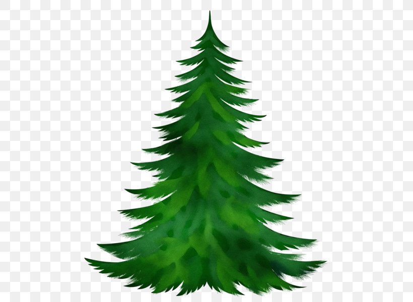 Christmas Tree, PNG, 509x600px, Watercolor, Balsam Fir, Christmas Tree, Colorado Spruce, Green Download Free