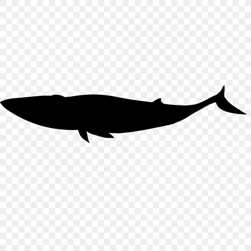 Dolphin Porpoise Cetacea Silhouette Clip Art, PNG, 1000x1000px, Dolphin, Black And White, Cetacea, Fauna, Fin Download Free