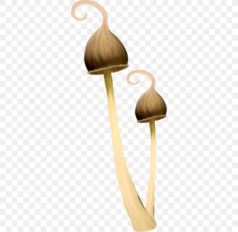 Edible Mushroom Fungus, PNG, 330x800px, Mushroom, Animation, Drawing, Edible Mushroom, Food Download Free