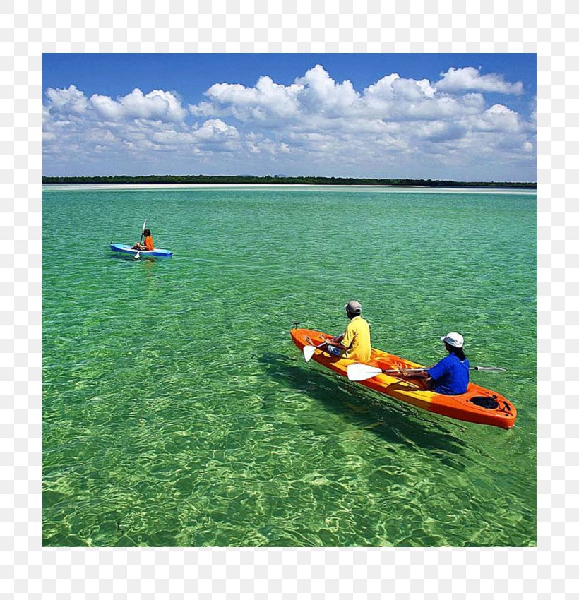 Kayak Boating Plant Community Leisure Sea, PNG, 700x850px, Kayak, Bay, Boat, Boating, Coastal And Oceanic Landforms Download Free
