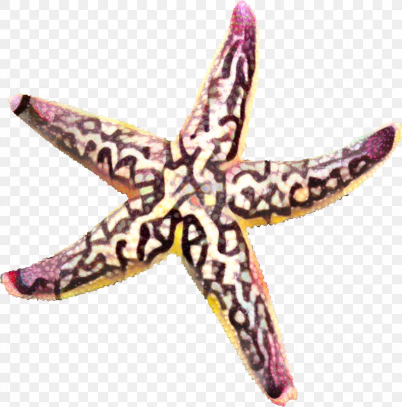 Pink Background, PNG, 888x899px, Starfish, Jewellery, Pink, Purple Download Free