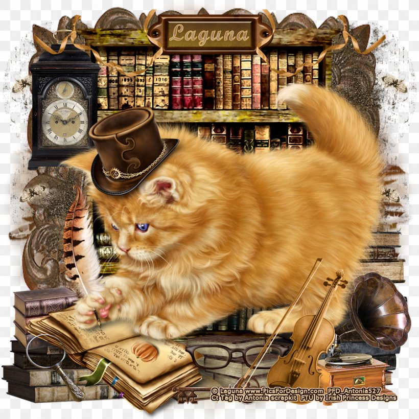 Whiskers Kitten Fauna Edgar Allan Poe, PNG, 900x900px, Whiskers, Carnivoran, Cat, Cat Like Mammal, Edgar Allan Poe Download Free