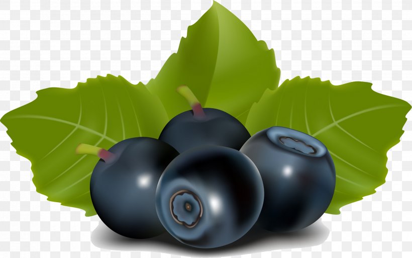 Blueberry Tea Juice Blackberry, PNG, 2500x1567px, Blueberry, Amora, Berry, Bilberry, Blackberry Download Free