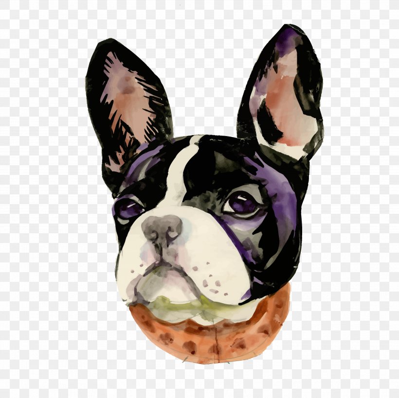 Boston Terrier French Bulldog Toy Bulldog Snout, PNG, 3543x3542px, Boston Terrier, Bulldog, Carnivoran, Dog, Dog Breed Download Free