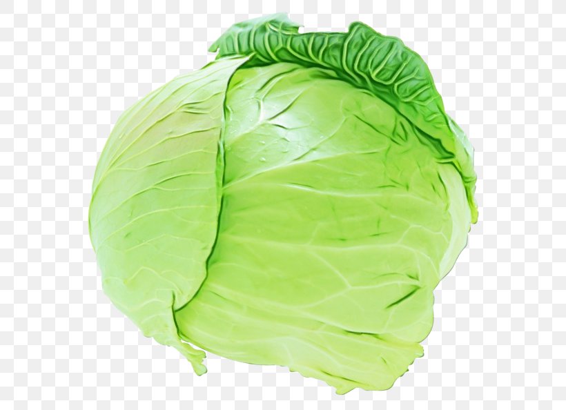 Cabbage Green Vegetable Iceburg Lettuce Leaf, PNG, 600x594px, Watercolor, Cabbage, Food, Green, Iceburg Lettuce Download Free