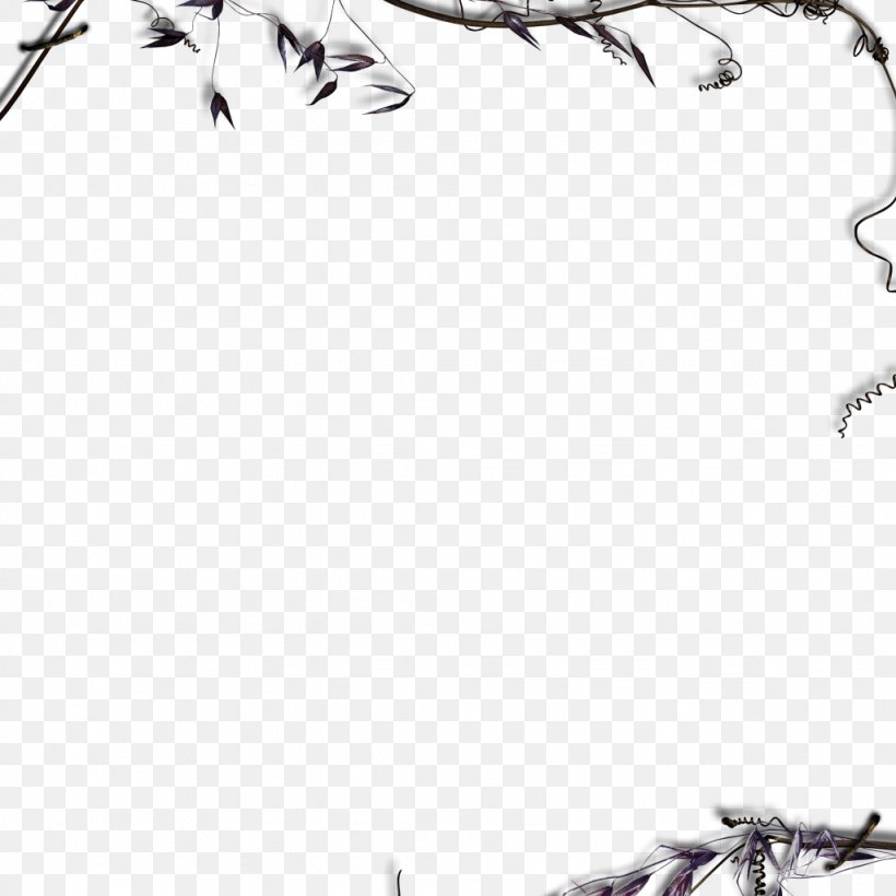Halloween Picture Frames Drawing Clip Art, PNG, 1024x1024px, Halloween, Artwork, Bird, Black, Black And White Download Free