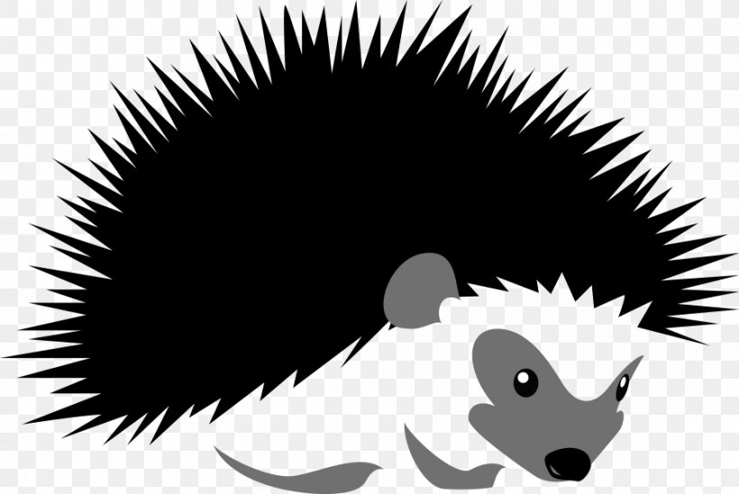Hedgehog Stock Illustration Silhouette Illustration, PNG, 901x603px, Hedgehog, Black And White, Drawing, Erinaceidae, Fourtoed Hedgehog Download Free
