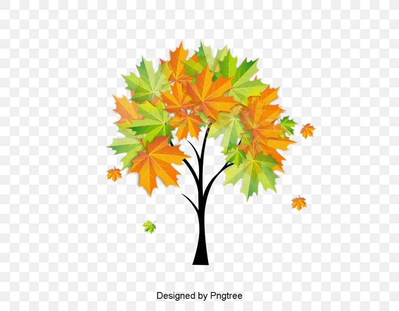 Watercolor Painting Autumn Image Download Cartoon, PNG, 640x640px, Watercolor Painting, Autumn, Autumn Leaves, Black Maple, Botany Download Free