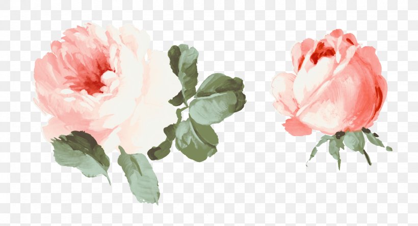 Cut Flowers Gouache Beach Rose, PNG, 2048x1112px, Flower, Artificial Flower, Beach Rose, Bud, Carnation Download Free