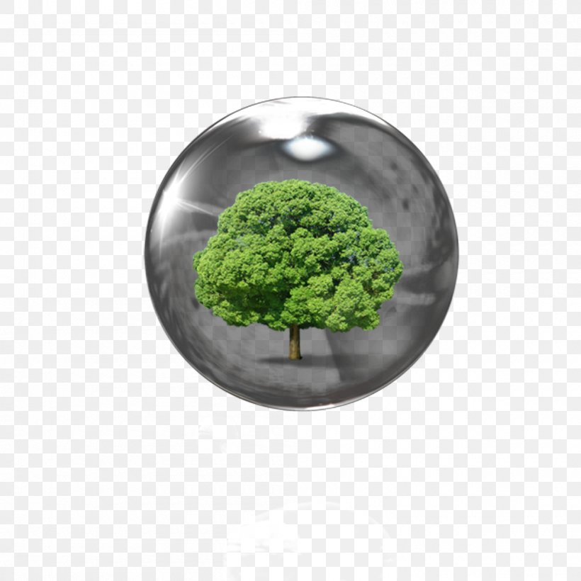 Download, PNG, 1000x1000px, Computer Graphics, Grass, Shape, Sphere, Tree Download Free