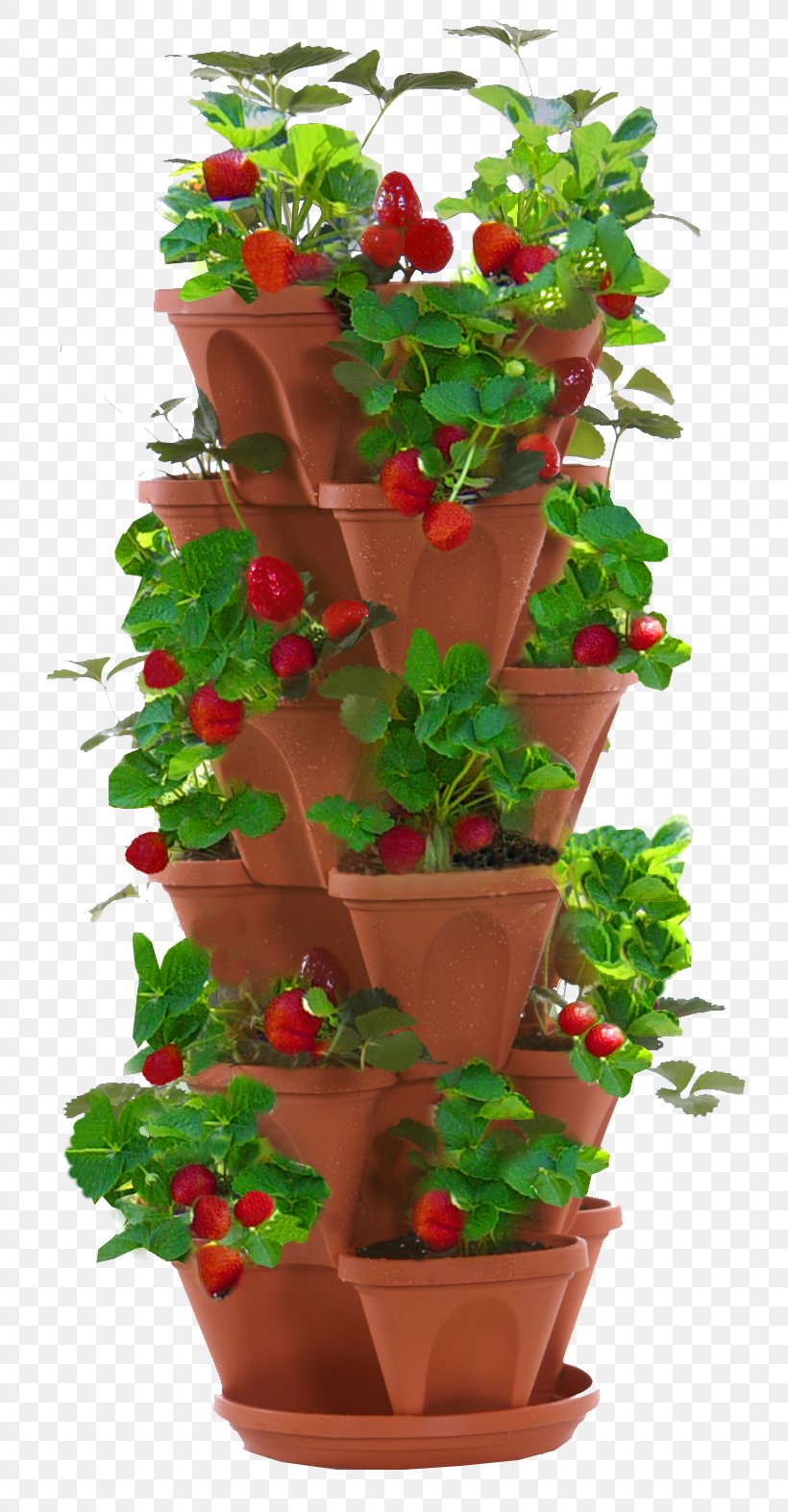 Flowerpot Strawberry Garden Food Herb, PNG, 754x1574px, Flowerpot, Basket, Ceramic, Container Garden, Flower Download Free