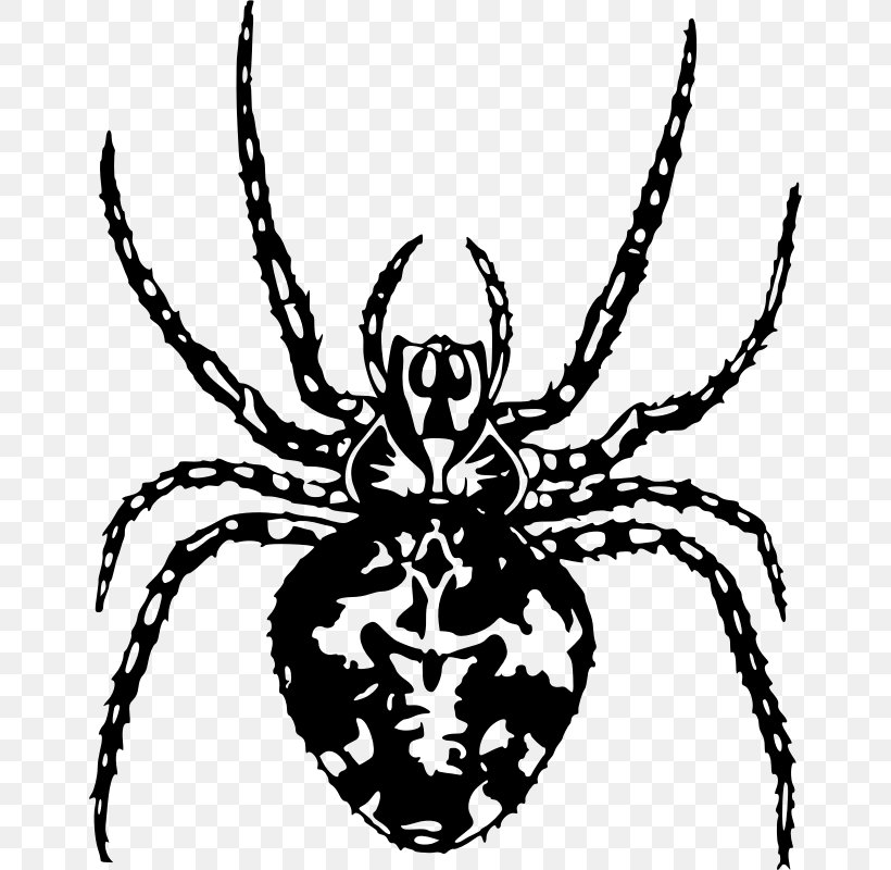 Spider Clip Art, PNG, 656x800px, Spider, Arachnid, Arthropod, Artwork, Black And White Download Free