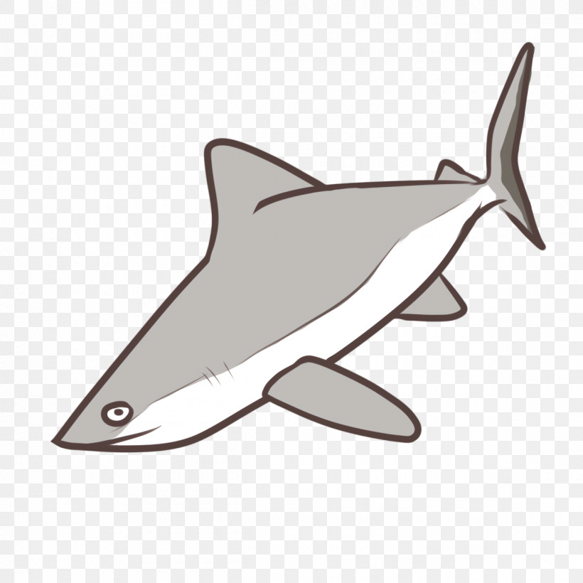 Shark, PNG, 1200x1200px, Dolphin, Cetaceans, Line, Porpoise, Requiem Download Free