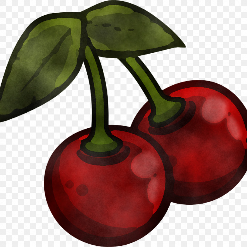 Cherry Plant Leaf Tree Fruit, PNG, 1024x1024px, Cherry, Drupe, Flower, Fruit, Leaf Download Free