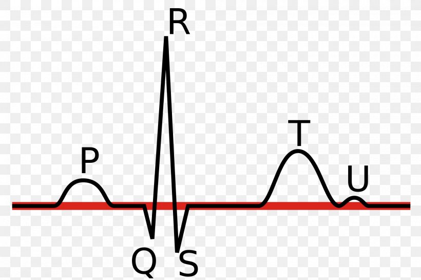 Electrocardiography Linia Izoelektryczna P Wave QRS Complex Heart Rate, PNG, 2000x1331px, Electrocardiography, Area, Black And White, Diagram, Heart Download Free