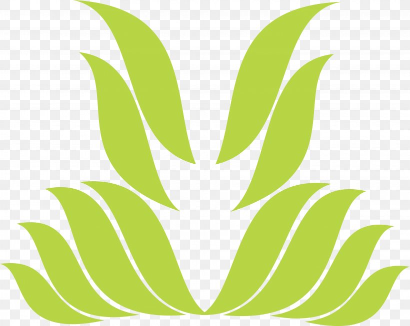 Leaf Symbol Petal Pattern, PNG, 3863x3078px, Leaf, Decorative Arts, Flower, Flowering Plant, Grass Download Free