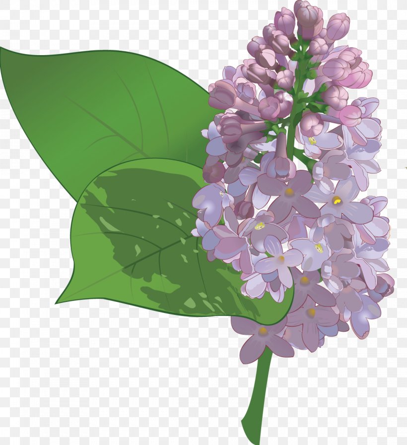 Flower Lilac Clip Art, PNG, 1189x1300px, Flower, Decorative Arts ...