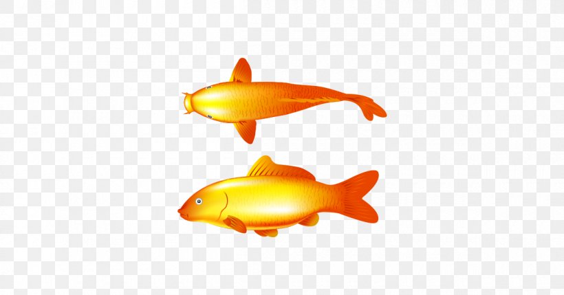 Goldfish Common Carp, PNG, 1200x628px, Goldfish, Bony Fish, Carp, Common Carp, Fin Download Free