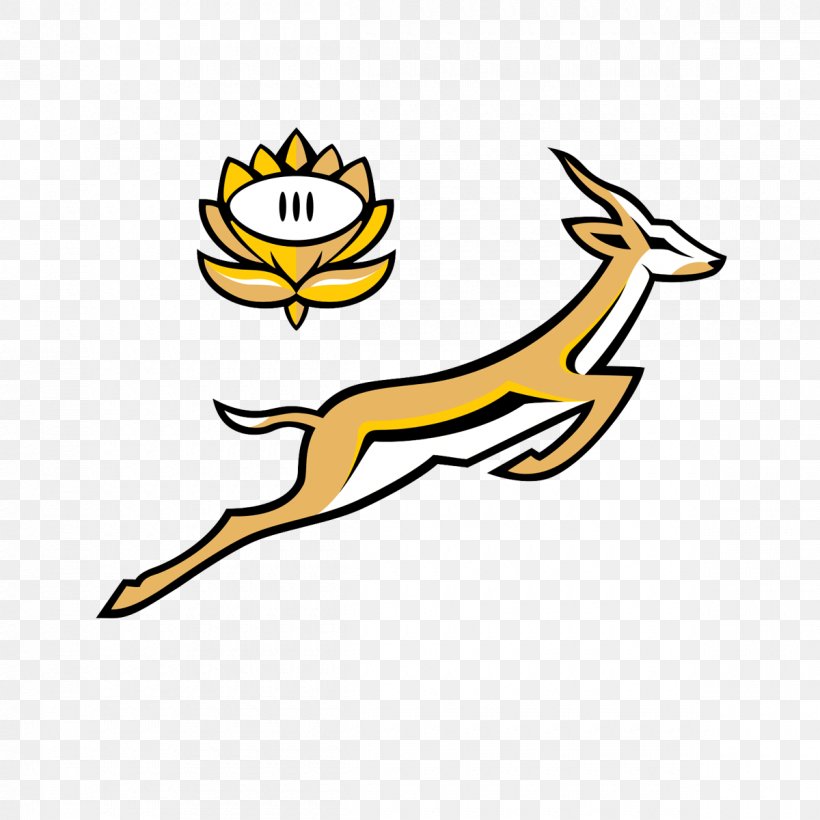 South Africa National Rugby Union Team South Africa National Rugby Sevens Team Springbok The Rugby Championship, PNG, 1200x1200px, South Africa, Animal Figure, Area, Australia National Rugby Union Team, Black And White Download Free