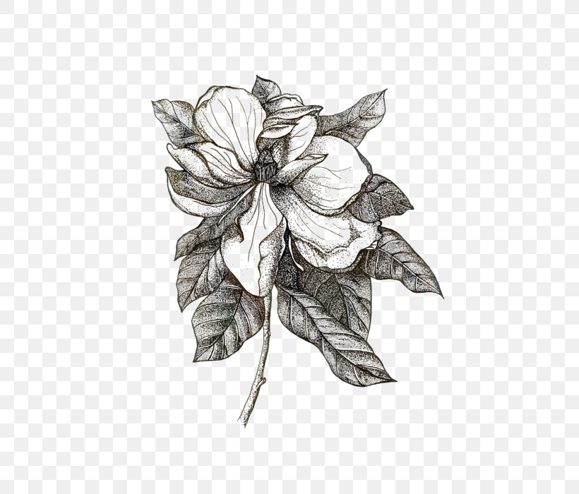 Watercolor Flower Background, PNG, 560x700px, Towel, Anthurium, Blackandwhite, Canvas, Drawing Download Free