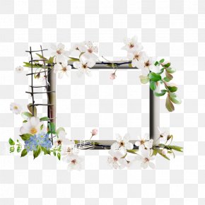 Flower - Floral Design Picture Frames Flower PNG
