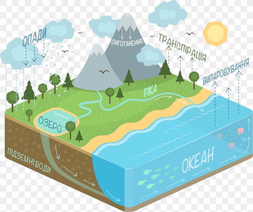 Water Cycle Diagram Condensation, PNG, 1543x1292px, Water Cycle, Cloud, Condensation, Diagram, Evaporation Download Free