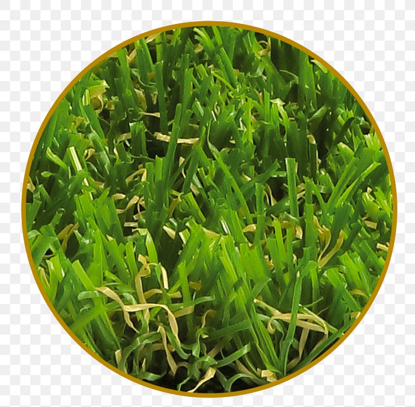 Artificial Turf Garden Lawn Meadow Vegetarian Cuisine, PNG, 800x803px, Artificial Turf, Cost, Food, Garden, Grass Download Free