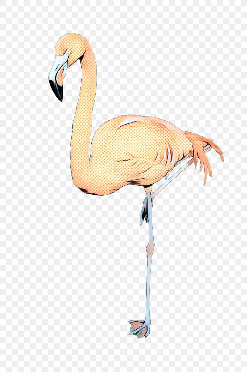 Bird Crane Beak Neck, PNG, 1600x2411px, Bird, Beak, Crane, Cranelike Bird, Flamingo Download Free