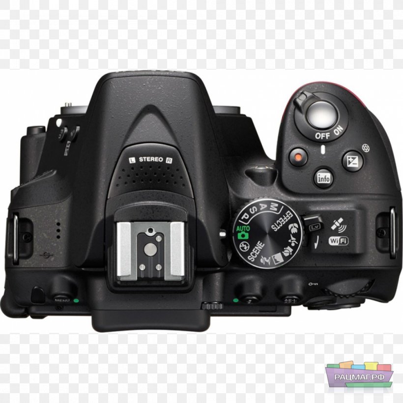 Digital SLR Nikon DX Format Camera Active Pixel Sensor, PNG, 1000x1000px, Digital Slr, Active Pixel Sensor, Autofocus, Camera, Camera Accessory Download Free