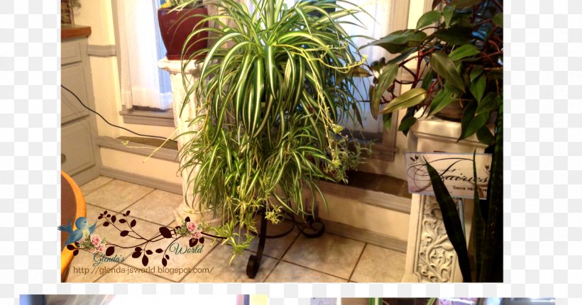 Flowerpot Grasses Houseplant Herb Arecales, PNG, 1200x630px, Flowerpot, Arecales, Flora, Grass, Grass Family Download Free