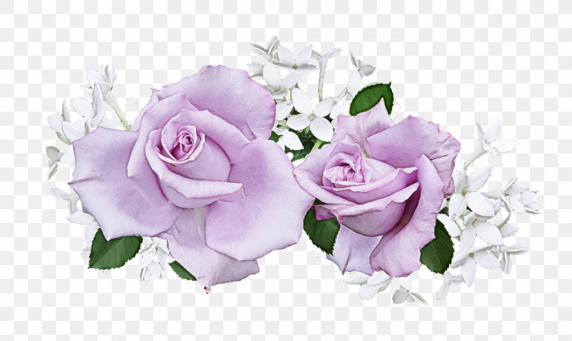 Garden Roses, PNG, 960x573px, Flower, Artificial Flower, Bouquet, Cut Flowers, Floral Design Download Free