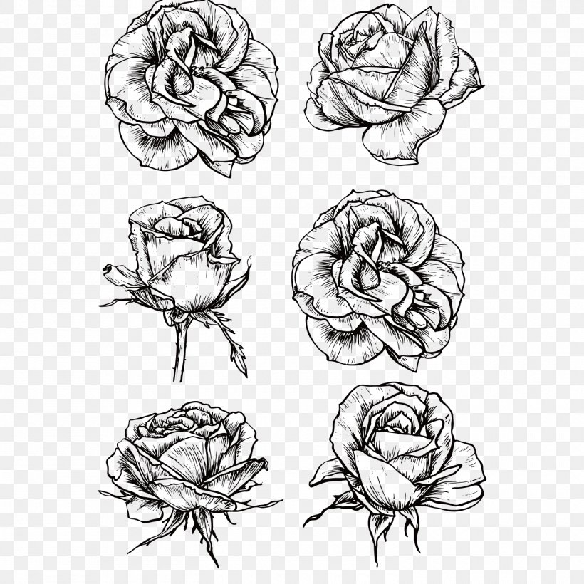 Rose flower sketch. Floral concept in vintage style Stock Vector Image &  Art - Alamy
