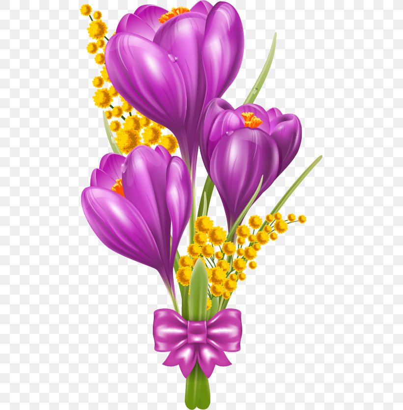 Crocus Vernus Early Crocus Snow Crocus Clip Art, PNG, 495x835px, Crocus Vernus, Art, Autumn Crocus, Crocus, Cut Flowers Download Free