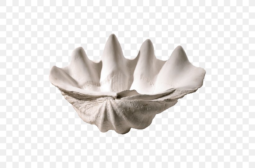 Giant Clam Bowl Seashell Oyster, PNG, 540x540px, Clam, Bacina, Bowl, Ceramic, Clamshell Download Free