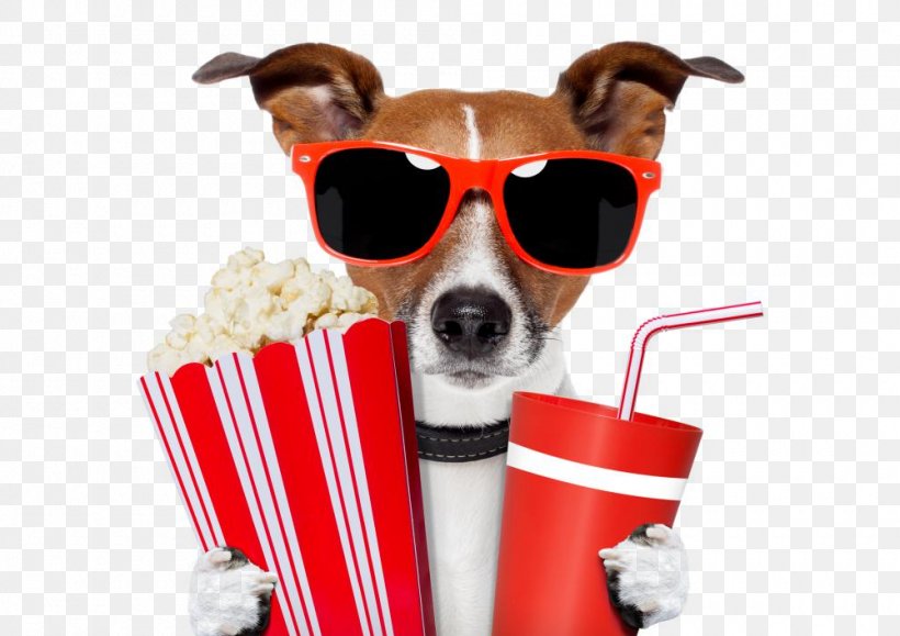 Jack Russell Terrier Cinema Film Weirs Drive-In Theatre, PNG, 1000x707px, Jack Russell Terrier, Cinema, Dil To Pagal Hai, Dog, Dog Breed Download Free