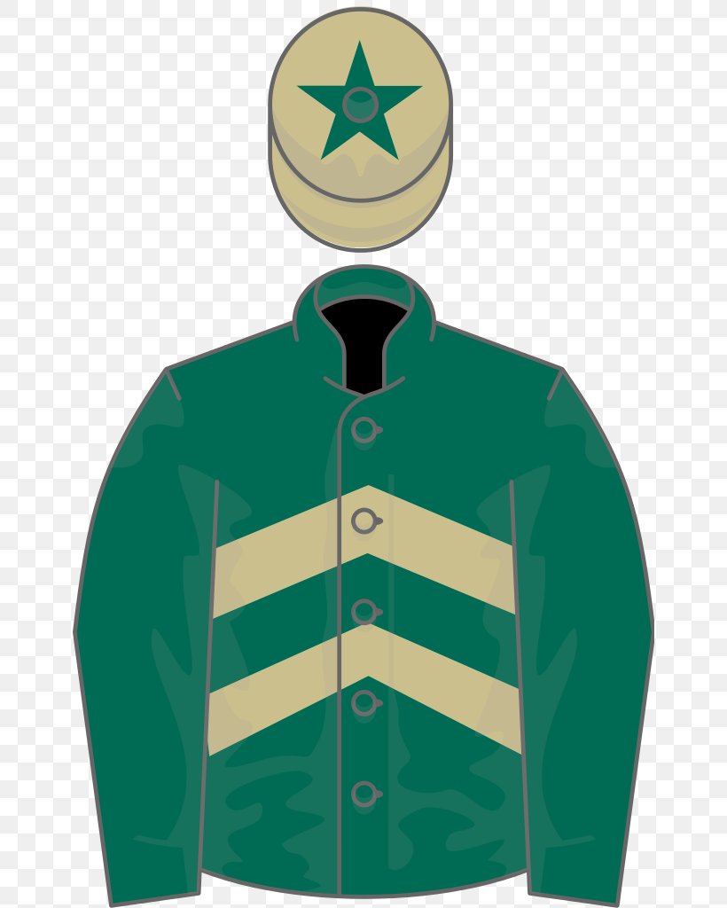 Sleeve Symbol Ownership Of California Chrome, PNG, 656x1024px, Sleeve, Green, Jacket, Outerwear, Ownership Of California Chrome Download Free