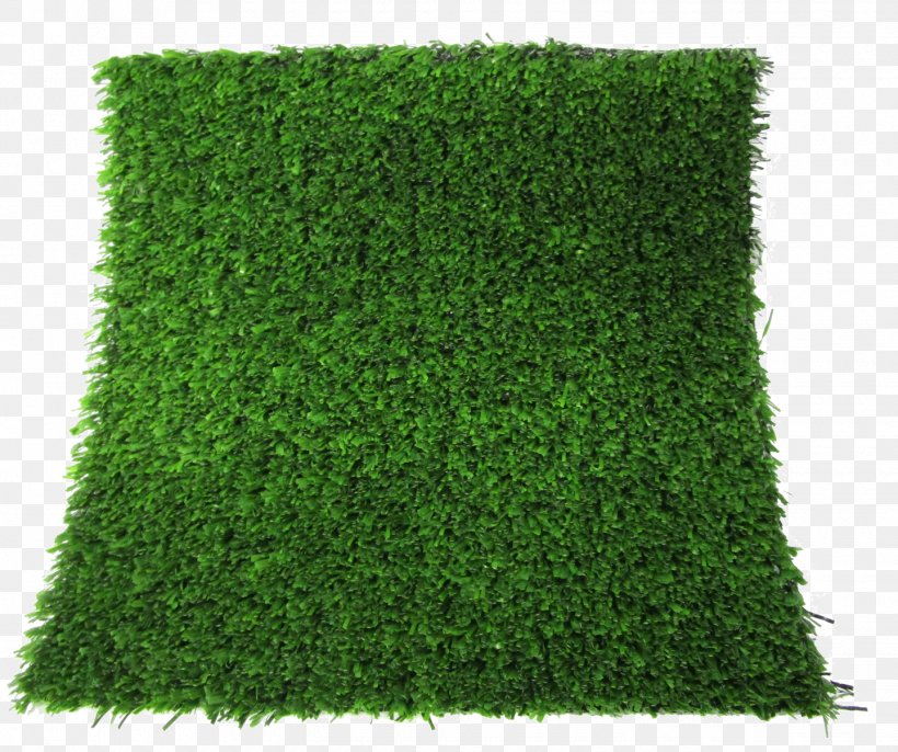 Artificial Turf Lawn Thatch Carpet Green, PNG, 1440x1206px, Artificial Turf, Carpet, Color, Evergreen, Grass Download Free