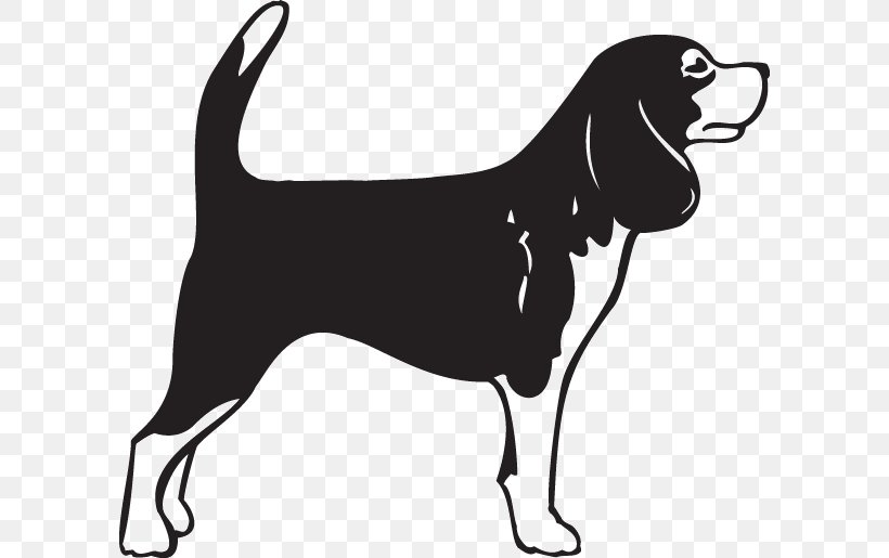 Beagle German Shorthaired Pointer Bullmastiff English Mastiff Puppy, PNG, 600x515px, Beagle, Black And White, Bullmastiff, Carnivoran, Decal Download Free