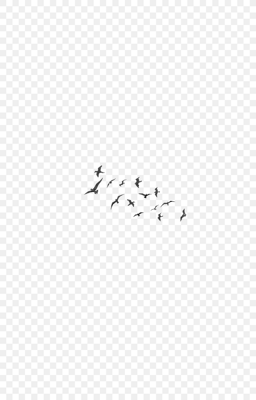 Bird Migration Parrot Flock Clip Art, PNG, 720x1280px, Bird, Animal, Animal Migration, Area, Beak Download Free