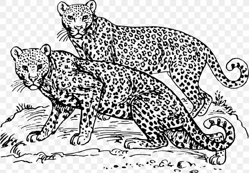 Felidae Amur Leopard Clip Art, PNG, 2132x1486px, Felidae, Amur Leopard, Animal, Animal Figure, Art Download Free