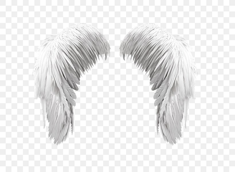 Wing Ma Liberté Feather, PNG, 800x600px, Wing, Angel, Black And White, Blog, Deviantart Download Free