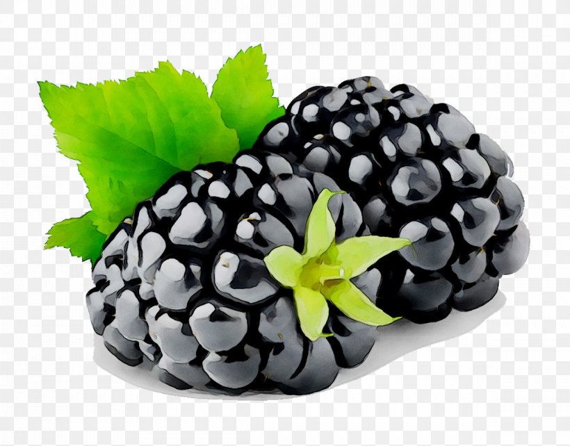 Cobbler Blackberry Clip Art Fruit, PNG, 1189x932px, Cobbler, Berries, Berry, Black Mulberry, Blackberry Download Free