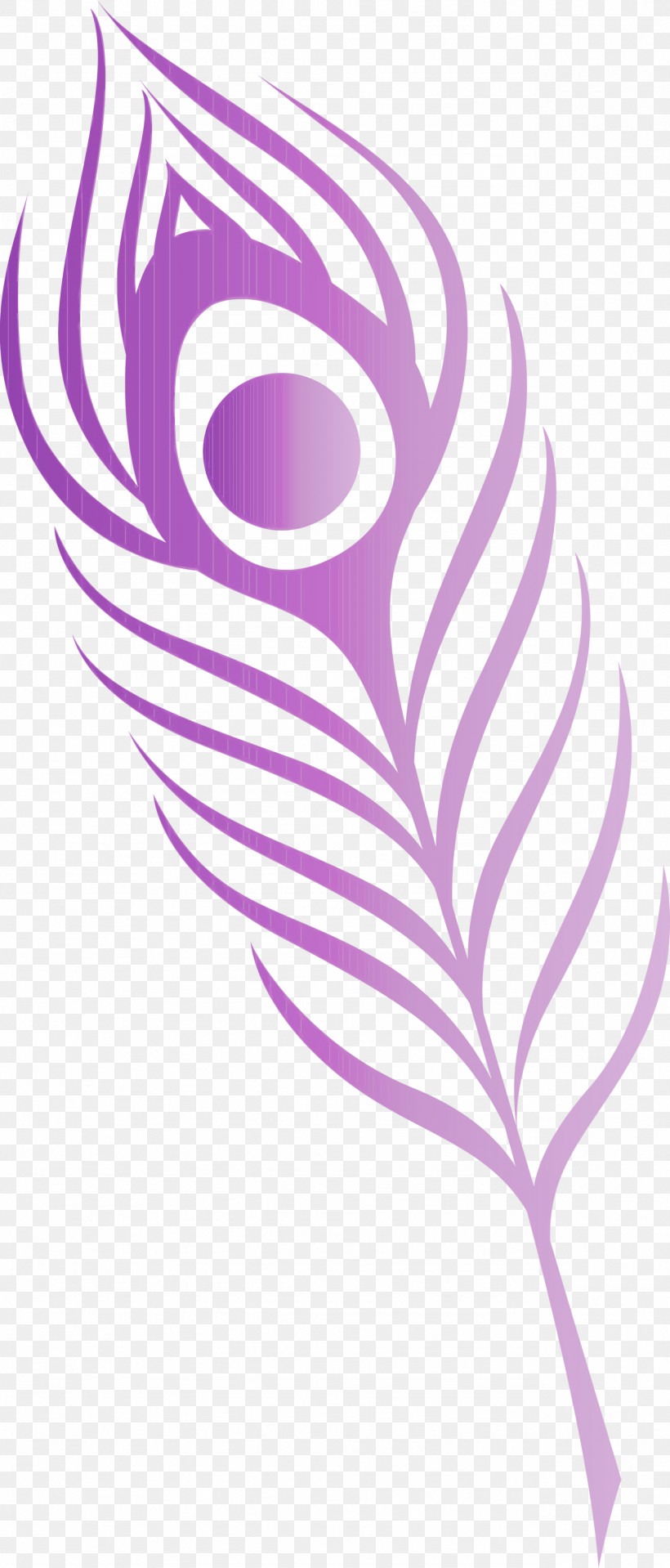 Feather, PNG, 1282x3000px, Feather, Biology, Flower, Leaf, Line Art Download Free