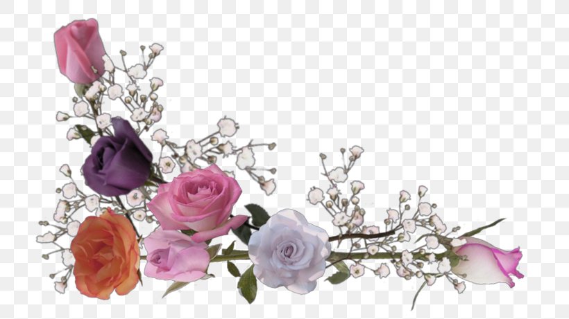 Light Beach Rose, PNG, 750x461px, Light, Artificial Flower, Beach Rose, Blossom, Color Download Free