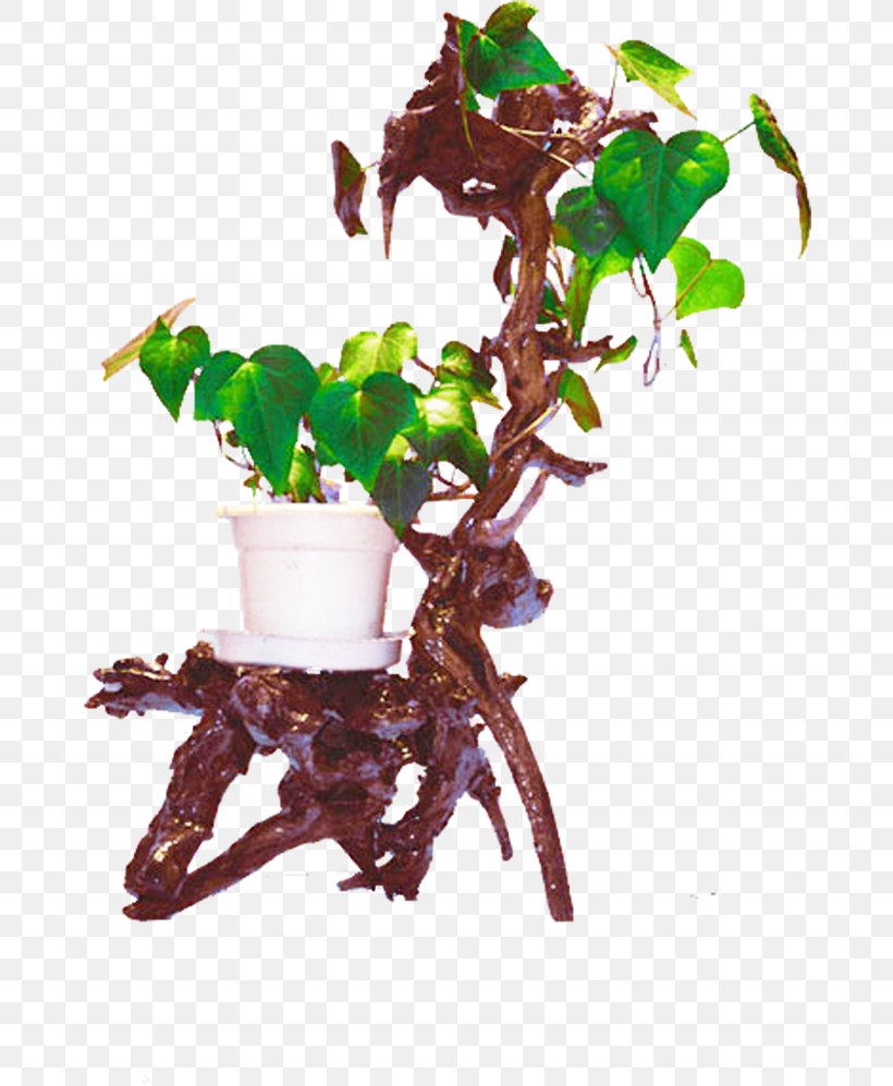 Penjing Download Flowerpot Plant Bonsai, PNG, 670x997px, Penjing, Bonsai, Branch, Flowerpot, Houseplant Download Free