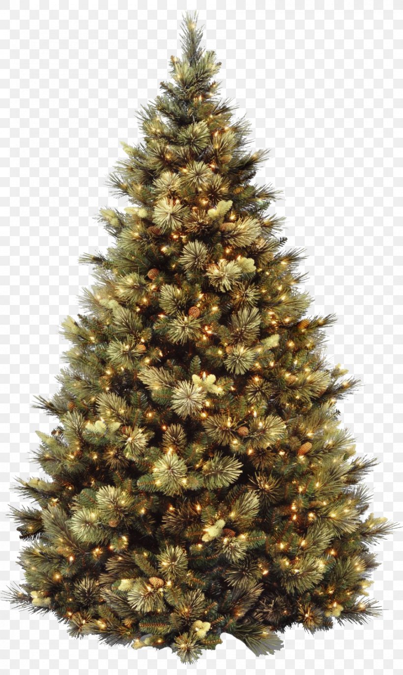 Artificial Christmas Tree Pre-lit Tree Christmas Day, PNG, 896x1500px, Artificial Christmas Tree, Balsam Hill, Blue Spruce, Christmas Day, Christmas Decoration Download Free