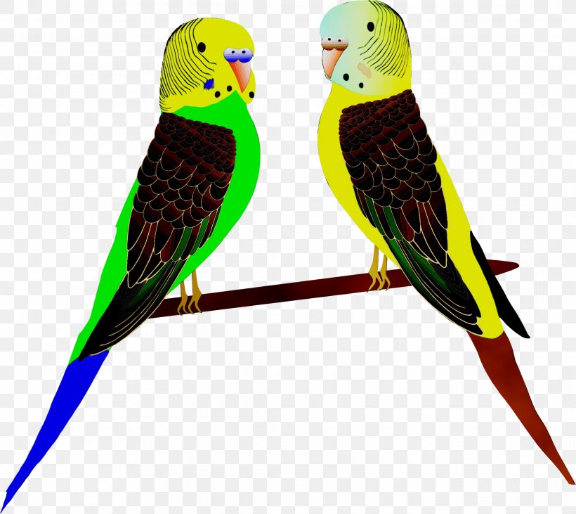 Macaw Parakeet Feather Beak Pet, PNG, 2180x1946px, Macaw, Beak, Bird, Budgie, Feather Download Free