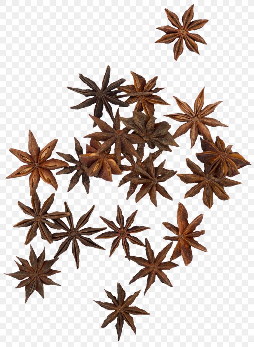 Spice Star Anise Condiment Ingredient, PNG, 1608x2192px, Spice, Anise, Black Pepper, Condiment, Flavor Download Free